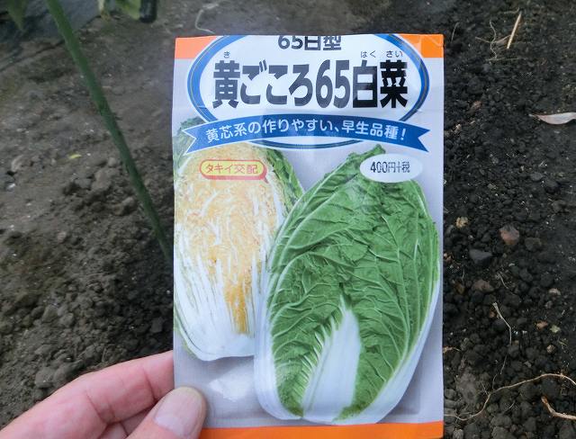 白菜の種
