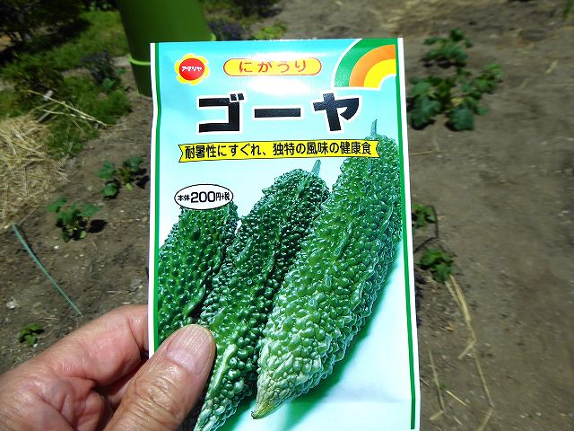 種まき
