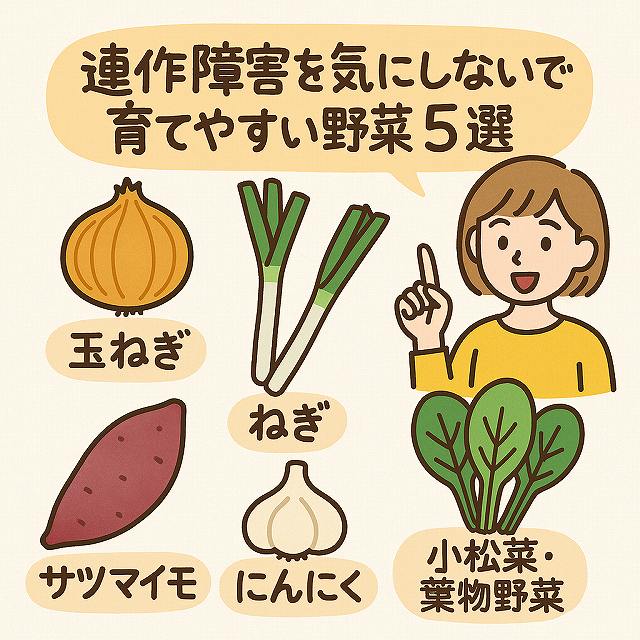 連作障害を気にしないで育てやすい野菜5選