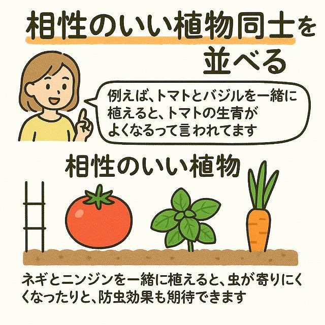 相性のいい植物同士を並べる