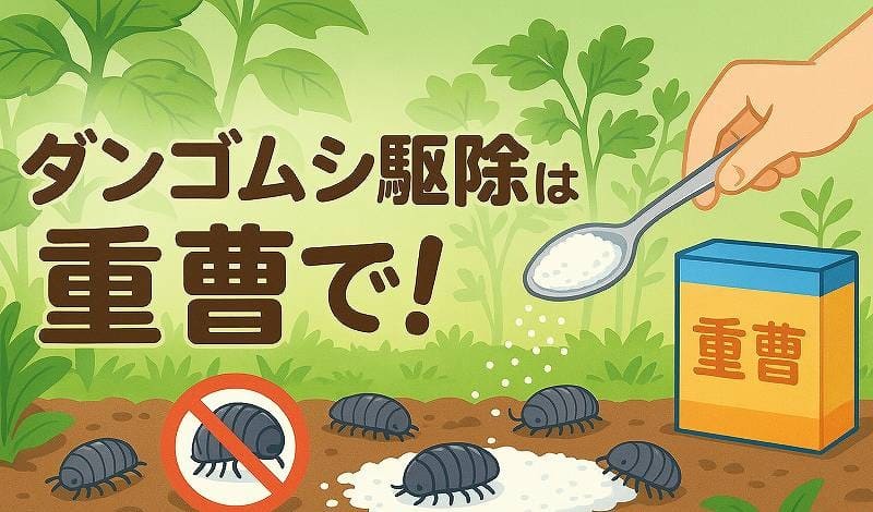 ダンゴムシ駆除