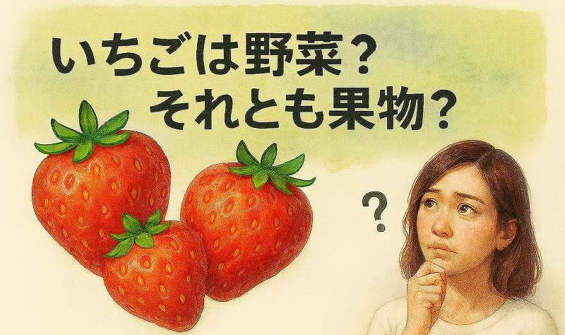 いちごは野菜？