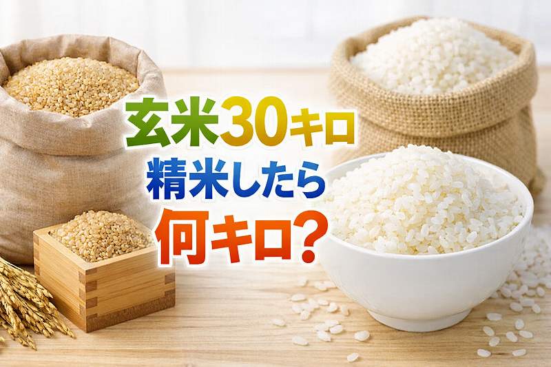 玄米3キロ精米したら