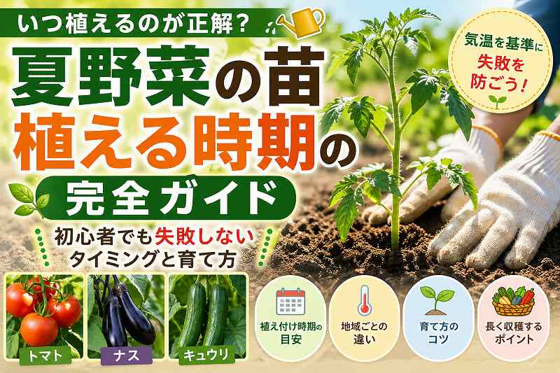 夏野菜植える時期