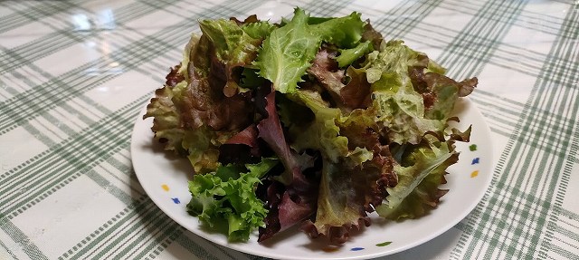 家庭菜園のベビーリーフ