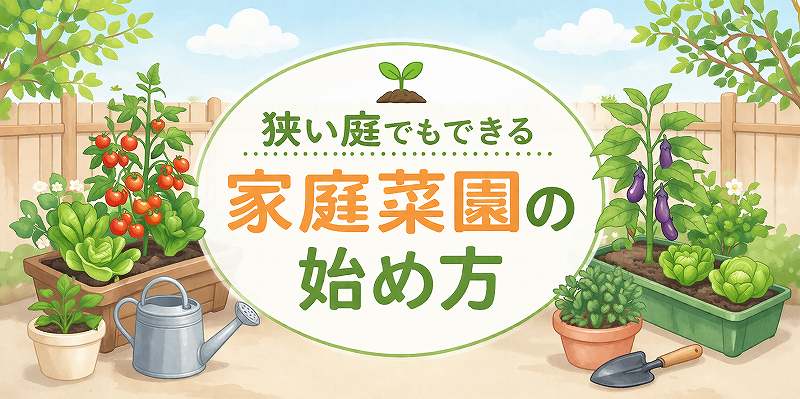狭い庭で始める家庭菜園