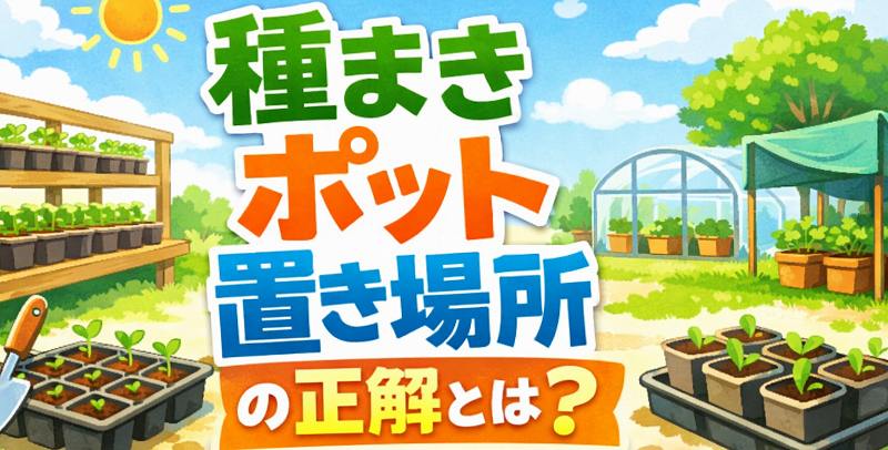 種まきボットの置き場所