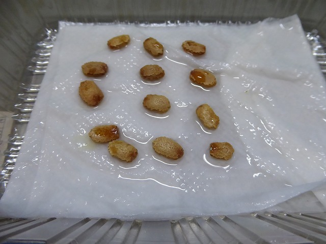ゴーヤをキッチンペーパーで種をふやかす