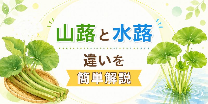 山蕗と水蕗の違いは