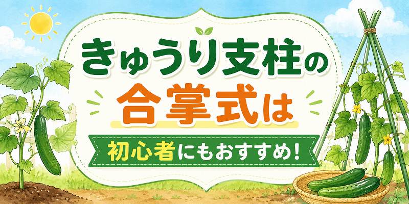 きゅうりの支柱 は合掌式