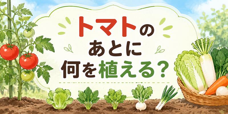 トマトのあとに何を植える