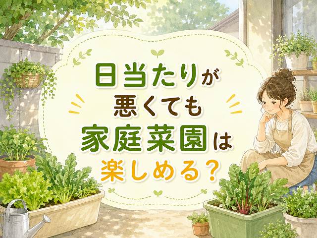 日当たりが悪くても家庭菜園は楽しめる?